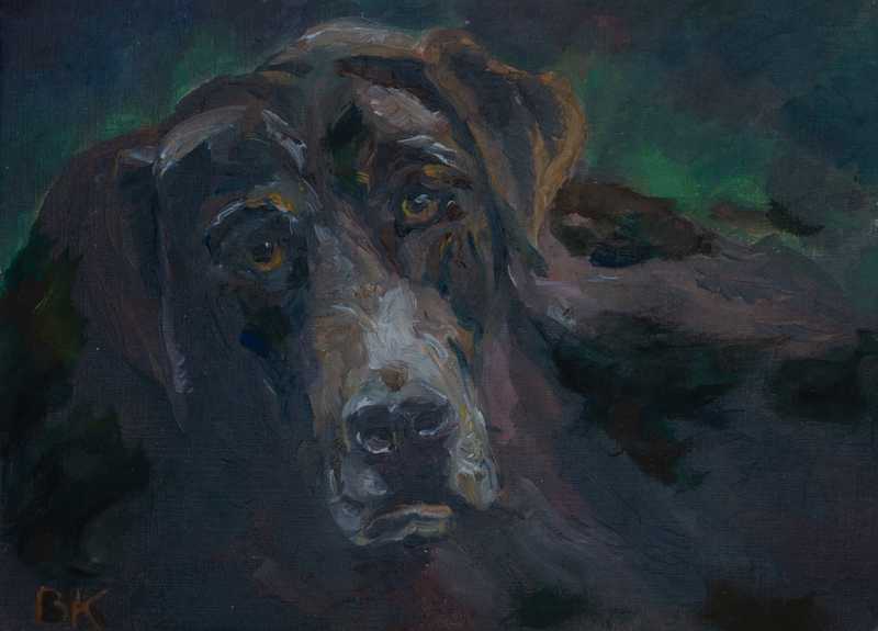 Hundekopf