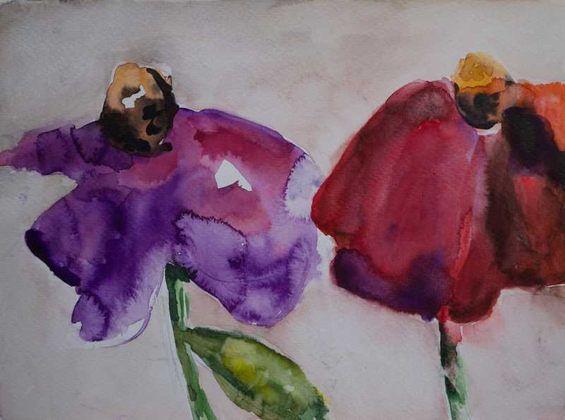 Mohn