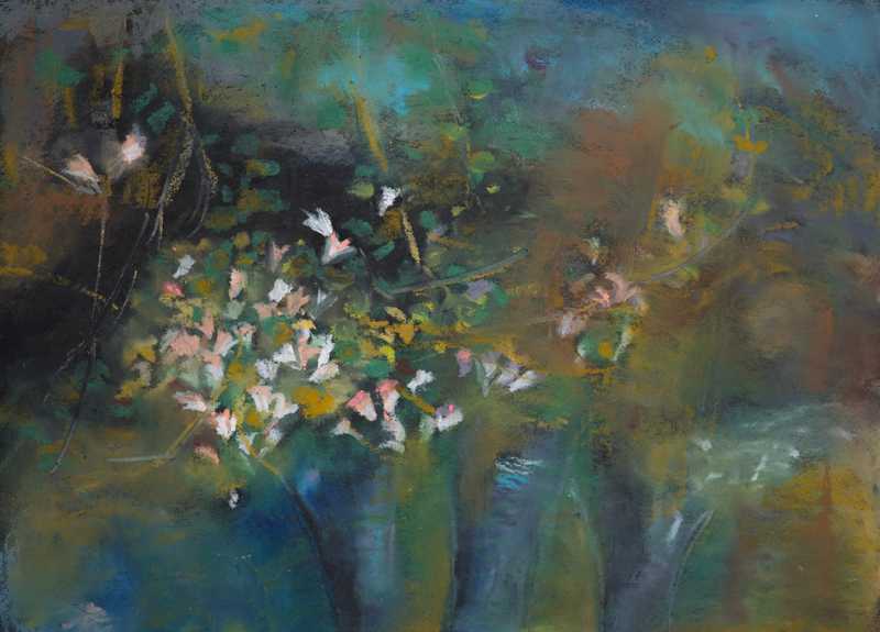Blüten am Waldrand